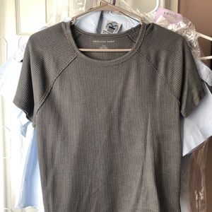 American Eagle Crop Top